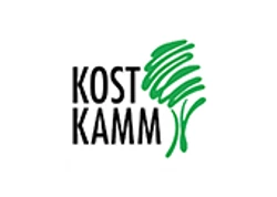 Kostkamm